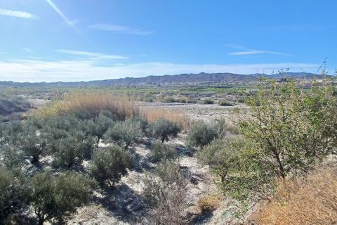 Erhvervsejendom i Arboleas, Almeria, Arboleas - € 45.000 | Ref: R22269 - foto 5