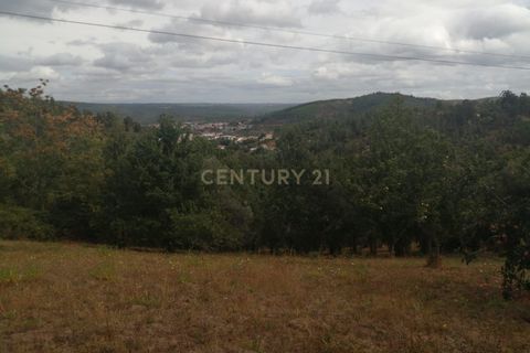 Tomt i Arganil, Coimbra, Arganil - € 21 000 | Ref: C0462-00095 - foto 5