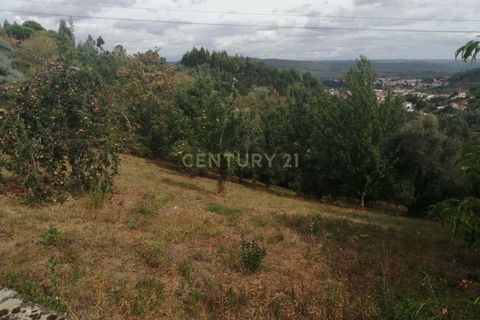 Tomt i Arganil, Coimbra, Arganil - € 21 000 | Ref: C0462-00095 - foto 6