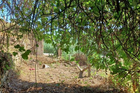 Farm hus i Coimbra, Coimbra, Coimbra - € 225.000 | Ref: C0462-00098 - foto 19