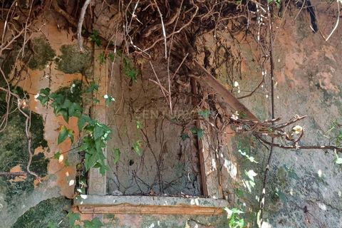 Farm hus i Coimbra, Coimbra, Coimbra - € 225.000 | Ref: C0462-00098 - foto 22
