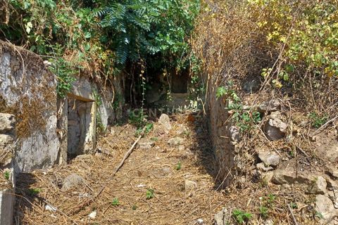 Farm hus i Coimbra, Coimbra, Coimbra - € 225.000 | Ref: C0462-00098 - foto 23
