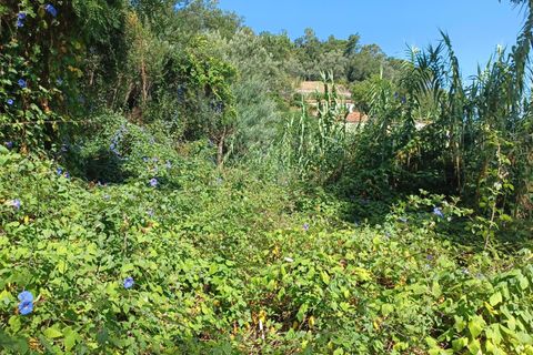 Farm hus i Coimbra, Coimbra, Coimbra - € 225.000 | Ref: C0462-00098 - foto 28