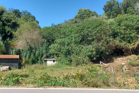 Farm hus i Coimbra, Coimbra, Coimbra - € 225.000 | Ref: C0462-00098 - foto 30