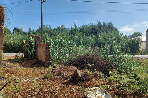 Farm hus i Coimbra, Coimbra, Coimbra - € 225.000 | Ref: C0462-00098 - foto 34