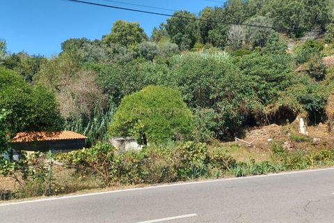Farm hus i Coimbra, Coimbra, Coimbra - € 225.000 | Ref: C0462-00098 - foto 36