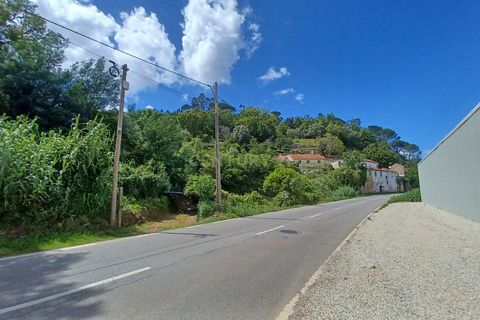 Farm hus i Coimbra, Coimbra, Coimbra - € 225.000 | Ref: C0462-00098 - foto 37