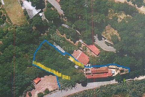 Farm hus i Coimbra, Coimbra, Coimbra - € 225.000 | Ref: C0462-00098 - foto 40