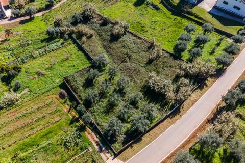 Helårsgrund i Coimbra, Coimbra, Coimbra - € 65.000 | Ref: C0462-00125 - foto 1