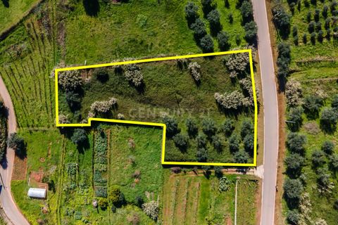 Helårsgrund i Coimbra, Coimbra, Coimbra - € 65.000 | Ref: C0462-00125 - foto 2