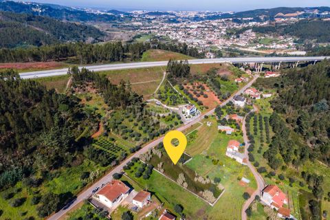 Helårsgrund i Coimbra, Coimbra, Coimbra - € 65.000 | Ref: C0462-00125 - foto 3