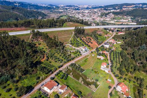 Helårsgrund i Coimbra, Coimbra, Coimbra - € 65.000 | Ref: C0462-00125 - foto 5