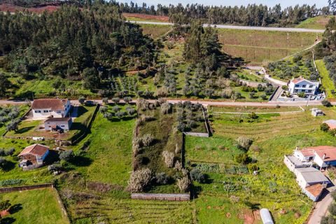 Helårsgrund i Coimbra, Coimbra, Coimbra - € 65.000 | Ref: C0462-00125 - foto 9