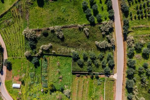 Helårsgrund i Coimbra, Coimbra, Coimbra - € 65.000 | Ref: C0462-00125 - foto 14