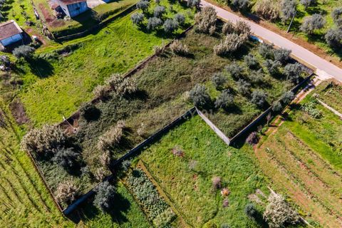 Helårsgrund i Coimbra, Coimbra, Coimbra - € 65.000 | Ref: C0462-00125 - foto 15