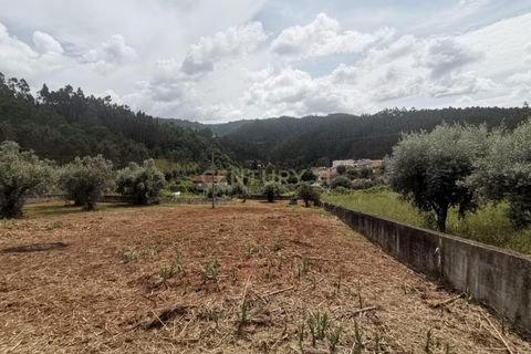 Helårsgrund i Coimbra, Coimbra, Coimbra - € 65.000 | Ref: C0462-00125 - foto 18