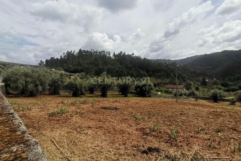 Helårsgrund i Coimbra, Coimbra, Coimbra - € 65.000 | Ref: C0462-00125 - foto 19