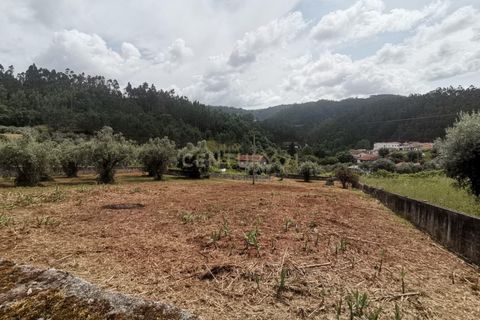 Helårsgrund i Coimbra, Coimbra, Coimbra - € 65.000 | Ref: C0462-00125 - foto 20