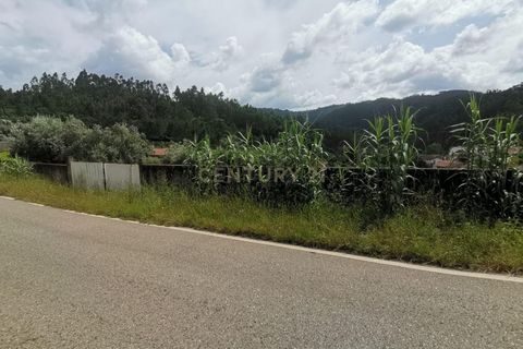 Helårsgrund i Coimbra, Coimbra, Coimbra - € 65.000 | Ref: C0462-00125 - foto 21