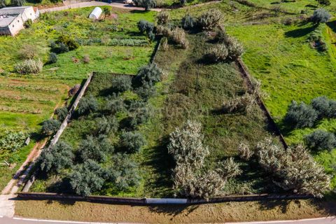 Helårsgrund i Coimbra, Coimbra, Coimbra - € 65.000 | Ref: C0462-00125 - foto 12