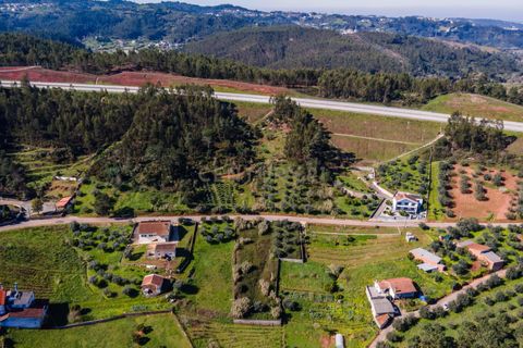 Helårsgrund i Coimbra, Coimbra, Coimbra - € 65.000 | Ref: C0462-00125 - foto 17