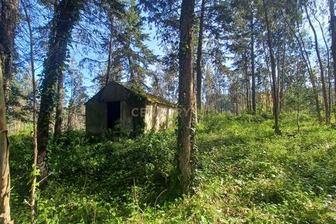 Helårsgrund i Abrunheira, Lisbon, Abrunheira - € 70.000 | Ref: C0462-00136 - foto 1