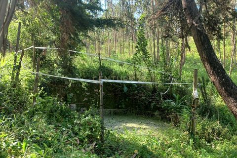 Helårsgrund i Abrunheira, Lisbon, Abrunheira - € 70.000 | Ref: C0462-00136 - foto 5