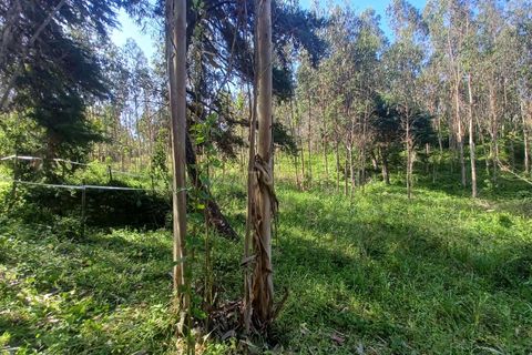 Helårsgrund i Abrunheira, Lisbon, Abrunheira - € 70.000 | Ref: C0462-00136 - foto 7