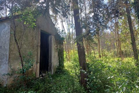 Helårsgrund i Abrunheira, Lisbon, Abrunheira - € 70.000 | Ref: C0462-00136 - foto 9