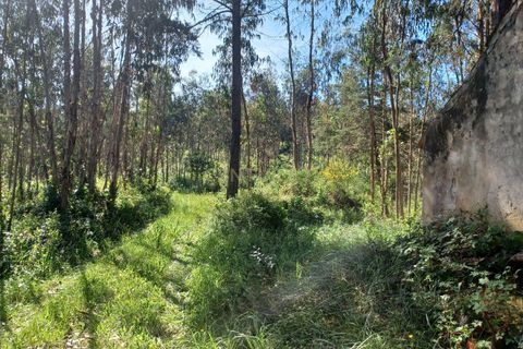 Helårsgrund i Abrunheira, Lisbon, Abrunheira - € 70.000 | Ref: C0462-00136 - foto 13