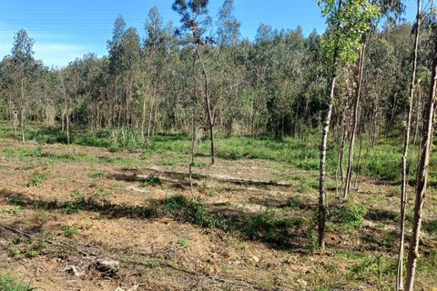 Helårsgrund i Abrunheira, Lisbon, Abrunheira - € 70.000 | Ref: C0462-00136 - foto 15