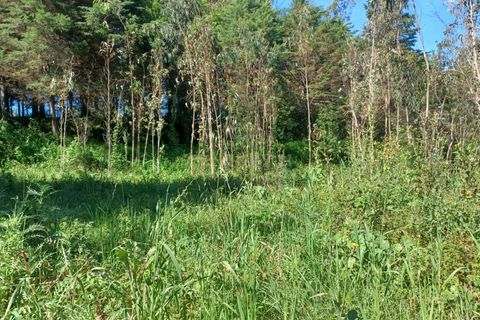 Helårsgrund i Abrunheira, Lisbon, Abrunheira - € 70.000 | Ref: C0462-00136 - foto 17