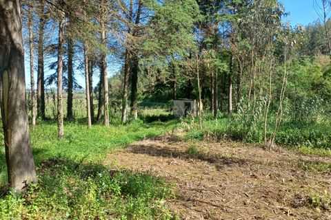 Helårsgrund i Abrunheira, Lisbon, Abrunheira - € 70.000 | Ref: C0462-00136 - foto 18