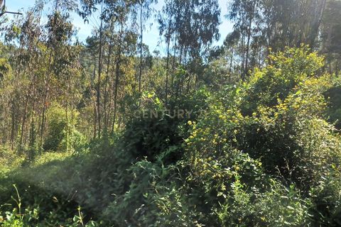 Helårsgrund i Abrunheira, Lisbon, Abrunheira - € 70.000 | Ref: C0462-00136 - foto 20