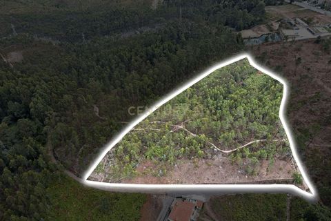 Helårsgrund i Gondomar, Porto, Gondomar - € 89.000 | Ref: C0272-01868 - foto 3