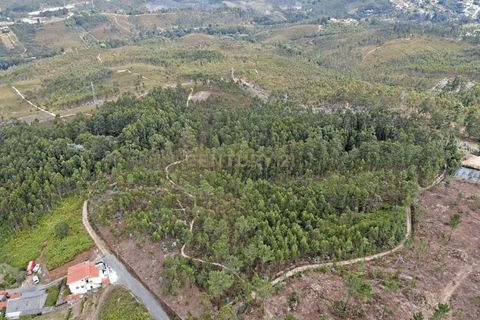 Helårsgrund i Gondomar, Porto, Gondomar - € 89.000 | Ref: C0272-01868 - foto 4