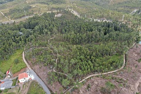 Helårsgrund i Gondomar, Porto, Gondomar - € 89.000 | Ref: C0272-01868 - foto 5