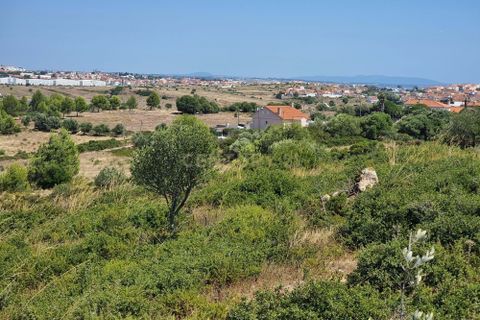 Helårsgrund i Alcabideche, Lisbon, Alcabideche - € 1.165.000 | Ref: C0376-00489 - foto 3