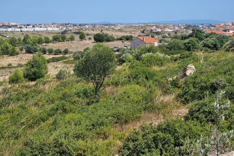 Helårsgrund i Alcabideche, Lisbon, Alcabideche - € 1.165.000 | Ref: C0376-00489 - foto 5
