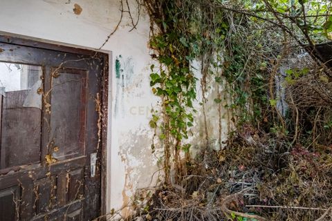 Villa i Obidos, Leiria, Obidos - € 395.000 | Ref: 0563-01655 - foto 8