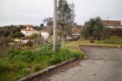 Helårsgrund i Tomar, Santarem, Tomar - € 19.000 | Ref: C0452-00286 - foto 3