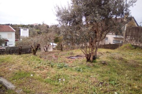 Helårsgrund i Tomar, Santarem, Tomar - € 19.000 | Ref: C0452-00286 - foto 6
