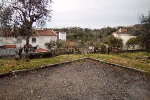 Helårsgrund i Tomar, Santarem, Tomar - € 19.000 | Ref: C0452-00285 - foto 3
