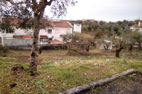 Helårsgrund i Tomar, Santarem, Tomar - € 19.000 | Ref: C0452-00285 - foto 5