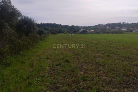 Helårsgrund i Tomar, Santarem, Tomar - € 39.000 | Ref: C0452-00318 - foto 1