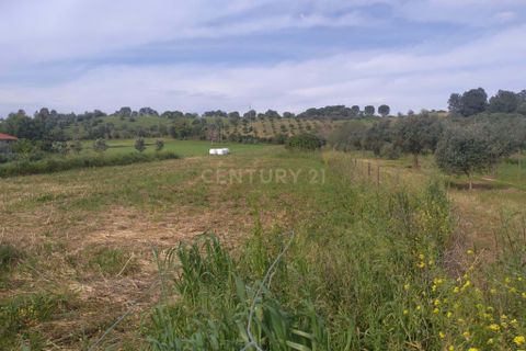 Helårsgrund i Tomar, Santarem, Tomar - € 39.000 | Ref: C0452-00318 - foto 2