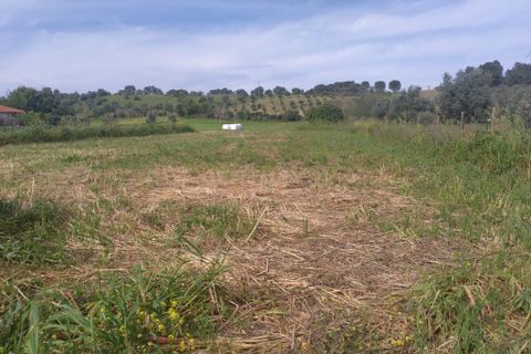 Helårsgrund i Tomar, Santarem, Tomar - € 39.000 | Ref: C0452-00318 - foto 3
