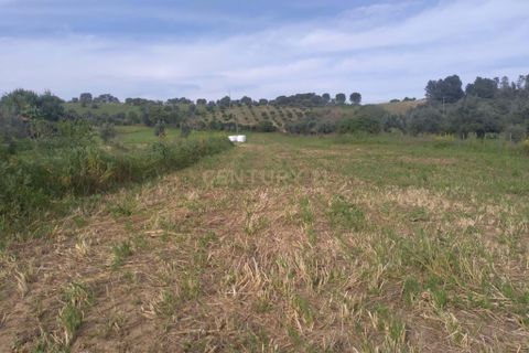 Helårsgrund i Tomar, Santarem, Tomar - € 39.000 | Ref: C0452-00318 - foto 4