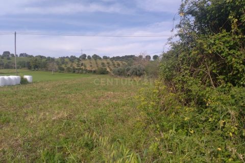 Helårsgrund i Tomar, Santarem, Tomar - € 39.000 | Ref: C0452-00318 - foto 5