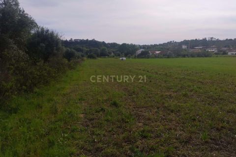 Helårsgrund i Tomar, Santarem, Tomar - € 39.000 | Ref: C0452-00318 - foto 6